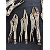 Image 3 : Assorted Vice Grips