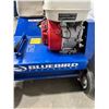 Image 2 : BlueBird P18 Lawn Comber