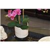 Image 3 : RECLINING LAUGHING BUDDHA STATUE ON STAND W/BOX & FAUX ORCHID PLANT (2 PCS)