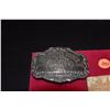 Image 2 : BELT BUCKLES (2 PCS)