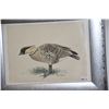 Image 2 : FRAMED WATERCOLOR, "NENE"; SIGNED GENA BENTALL