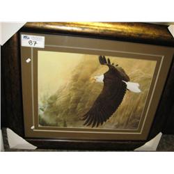 soaring Eagle Print