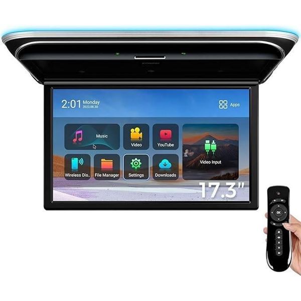 Qionia Overhead Car DVD Player With 17.3-Inch Display