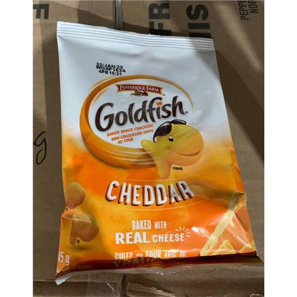 CASE LOT –Pepperidge Farm Goldfish Cheddar 48 Packs, 45g Each