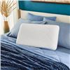 Image 1 : Novaform Soothing Cool Plus Queen Grand Pillow