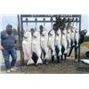 Image 6 : ULTIMATE ALASKAN FISHING & SIGHTSEEING TRIP FOR TWO