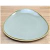 Image 2 : Terrastone Sage Green 11" Plate, Arcoroc FJ048 - Lot of 24 (2 cases)|R6-2