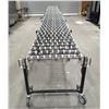 Image 2 : BestFlex200 Flexible Conveyor|Con1/R9