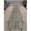 Image 1 : NestaFlex 376 Heavy Duty Flexible Conveyor|Con2/R9