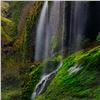 Image 5 : Peter Lik Art Photography - Whispering Falls