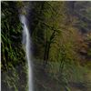 Image 6 : Peter Lik Art Photography - Whispering Falls