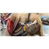 Image 2 : LARGE LOT OF ASSORTED HAND TOOLS