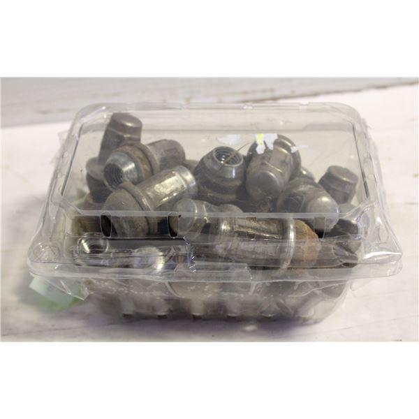 FORD F-150 FULL SET OF LUG NUTS