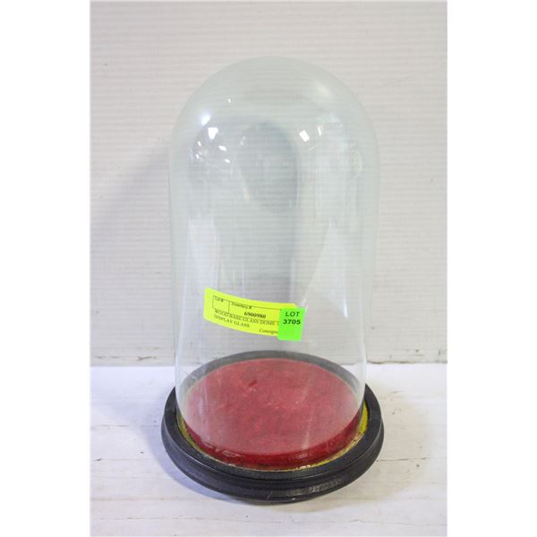 WOOD BASE GLASS DOME 12INCH DISPLAY GLASS