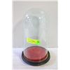 Image 1 : WOOD BASE GLASS DOME 12INCH DISPLAY GLASS