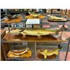 Image 1 : 6 MOUNTED FISH ALL DIFFERENT (3 KEN HAWKINS,