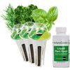 NEW 2 X 3 POD KIT AEROGARDEN GOURMET HERBS