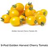 NEW 2 X 9 POD KIT AEROGARDEN GOLDEN HARVEST CHERRY