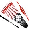 NEW POINTDO 30" CARBON ARROW SET OF 12