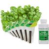 Image 1 : NEW 2 X 6 POD KIT AERO GARDEN PESTO BASIL