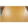 Image 1 : 5. SC19 - LOT OF LIGHT BROWN SPARKLE GLUE DOWN