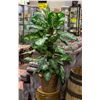 Image 1 : FAUX DUMBCAN 40" PLANT