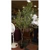 Image 1 : NEW 6FT ARTIFICIAL OLIVE TREE