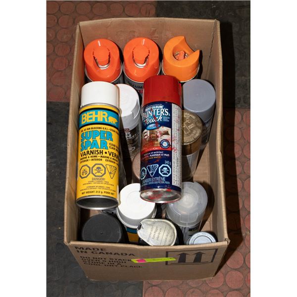 MED LOT OF SPRAY PAINT