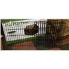 Image 1 : BLACK METAL SMALL DOG FENCE