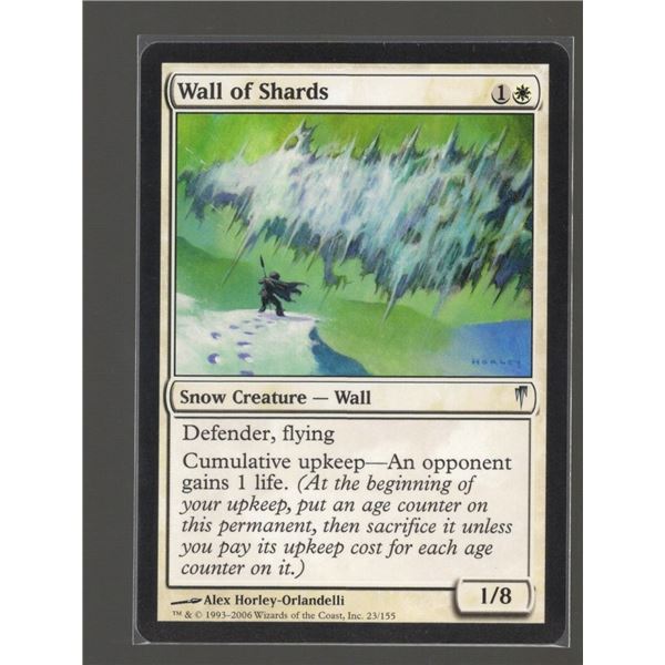 Magic the Gathering Wall of Shards Coldsnap