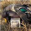 Image 1 : 6-Day & 7- Night South Africa Waterfowl and Upland Hunt for 2!