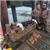 Image 4 : 3-Day & 3-Night East Coast Sea Duck Hunt for Two (Maine