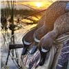 Image 1 : 3-Day Florida Whistling Ducks & Hogs Hunt for Two!