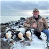 Image 2 : St. Paul Island, Alaska, King Eider Hunt for 1 Hunter