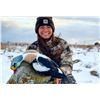 Image 4 : St. Paul Island, Alaska, King Eider Hunt for 1 Hunter