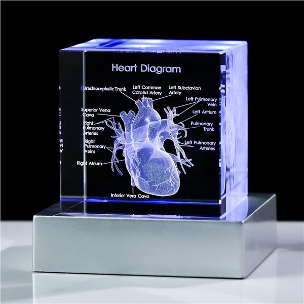 1 3D Laser Etched Human Heart Diagram Crystal Figurine with Light-Up Base - New in Box