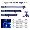 Image 2 : 2 LED Rainproof 3 Mode Dog Collars Size Medium Blue - New