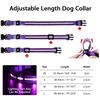 Image 2 : 2 LED Rainproof 3 Mode Dog Collars Size Medium Purple - New
