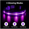 Image 4 : 2 LED Rainproof 3 Mode Dog Collars Size Medium Purple - New