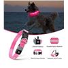 Image 2 : 2 LED Rainproof 3 Mode Dog Collars Size Small Pink - New