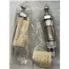 Image 1 : (2) Festo #DSNU-25-10-PPV-A Cylinders