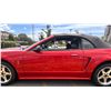 Image 10 : 2001 SVT Mustang Cobra Convertible with Terminator Engine Swap Low KM