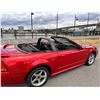 Image 14 : 2001 SVT Mustang Cobra Convertible with Terminator Engine Swap Low KM