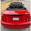 Image 15 : 2001 SVT Mustang Cobra Convertible with Terminator Engine Swap Low KM