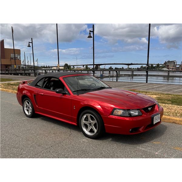 2001 SVT Mustang Cobra Convertible with Terminator Engine Swap Low KM