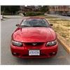 Image 20 : 2001 SVT Mustang Cobra Convertible with Terminator Engine Swap Low KM