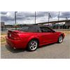 Image 3 : 2001 SVT Mustang Cobra Convertible with Terminator Engine Swap Low KM
