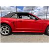 Image 4 : 2001 SVT Mustang Cobra Convertible with Terminator Engine Swap Low KM