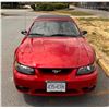 Image 5 : 2001 SVT Mustang Cobra Convertible with Terminator Engine Swap Low KM