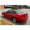 Image 9 : 2001 SVT Mustang Cobra Convertible with Terminator Engine Swap Low KM
